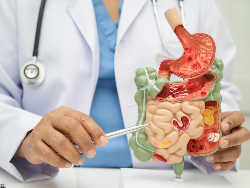 Dokter Lambung Terbaik di Surabaya